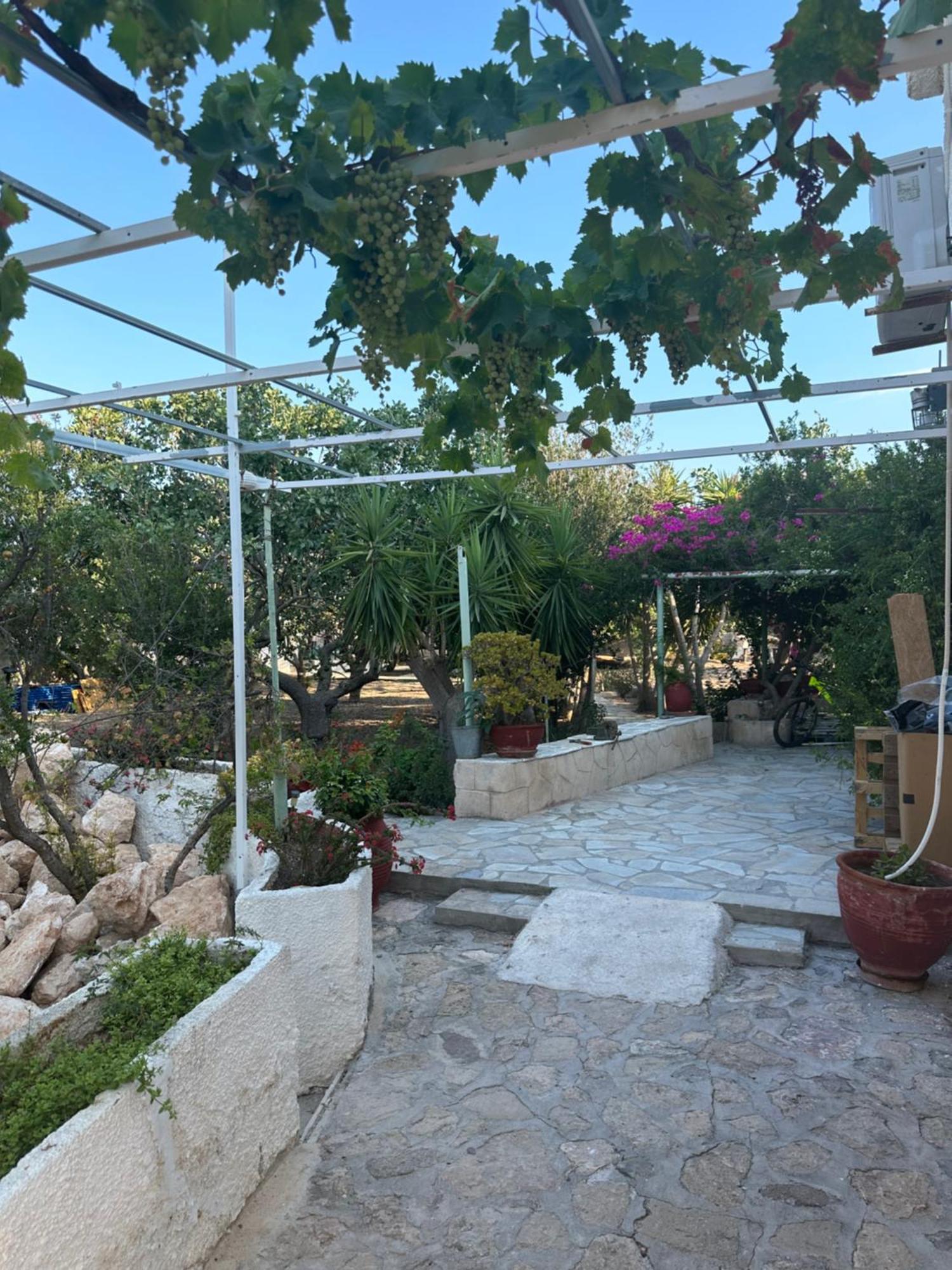 SolMar Aegina Studio Khloi Esterno foto
